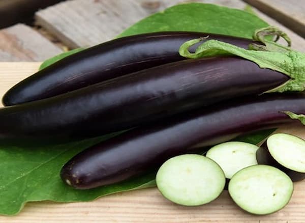 تصویر 5 از قیمت خرید بادمجان قلمی گلخانه ای + فروش ویژه